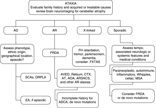 sensory ataxia