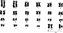 chromosomes Every human cell nucleus contains...