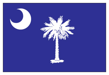 South Carolina's flag