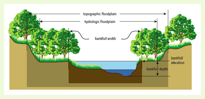 Floodplains - Credo Reference