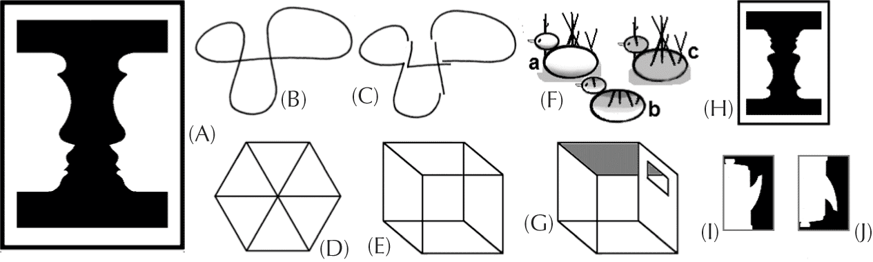 Perception Credo Reference - 